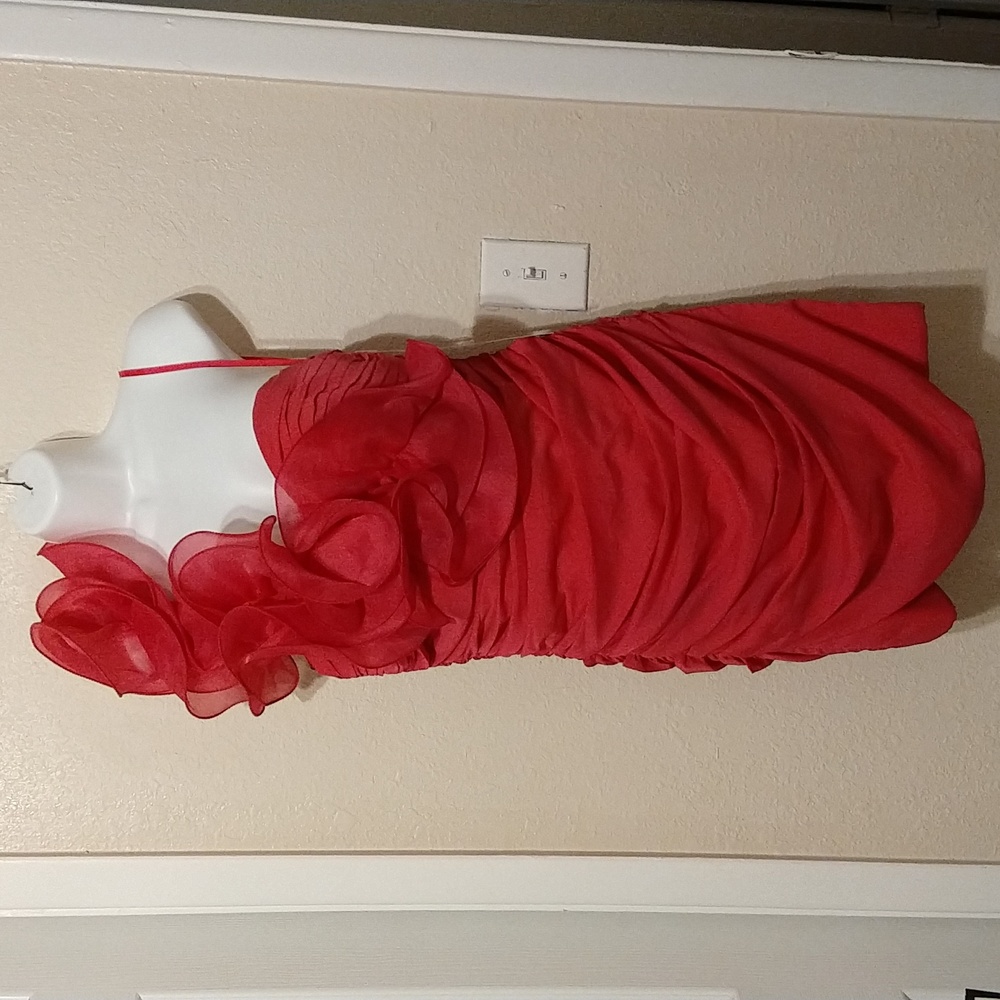 Pink Dress